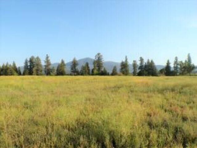 Property Photo: 781 H Hwy 395 N WA 99141