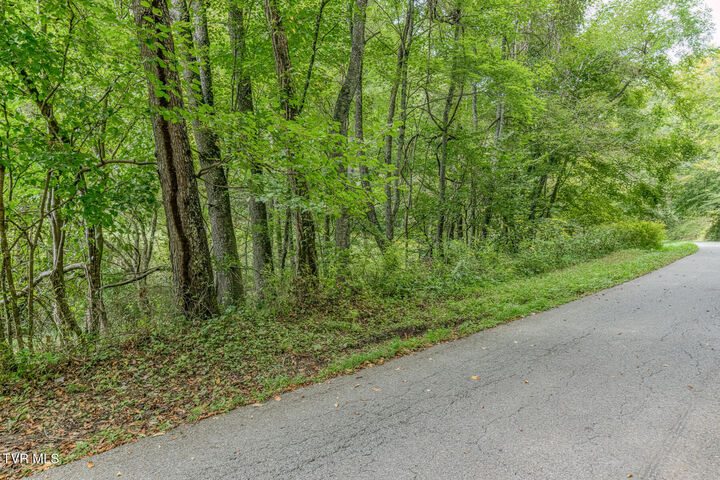 Property Photo:  9.95 Acres Heaton Ridge Road  TN 37687 