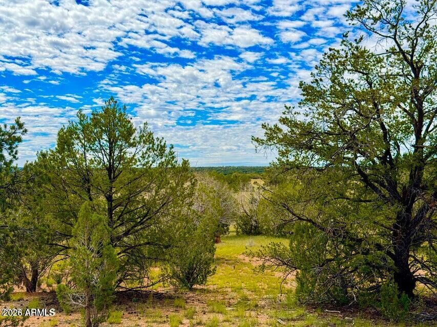 Property Photo: 0 Dusty Rose Ranch Lot C 12 Acre -- AZ 86337