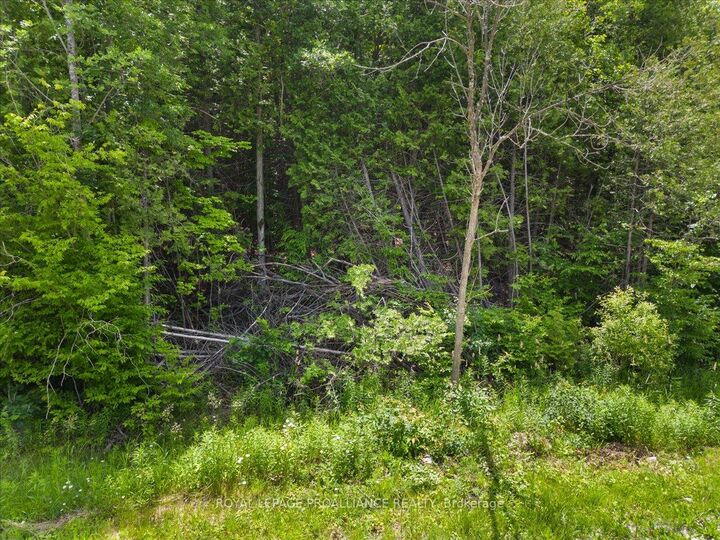 Property Photo:  0 Marlbank Rd N/A  ON K0K 3J0 