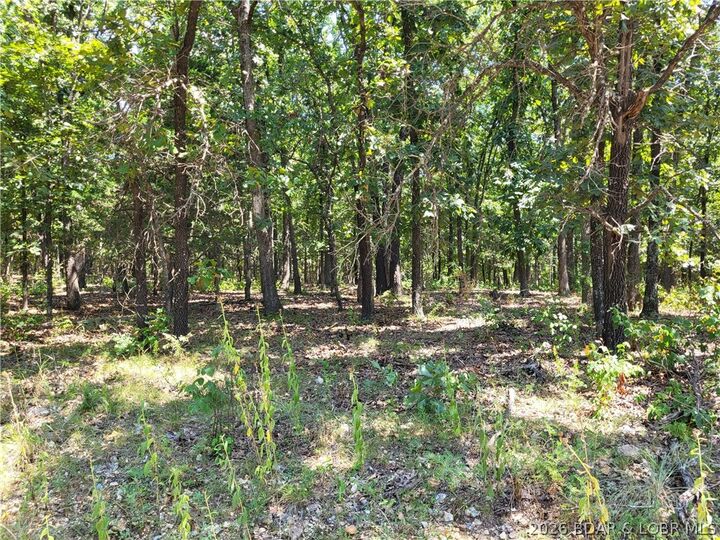Property Photo: Trinchera Road 3944 & 3945 MO 65326