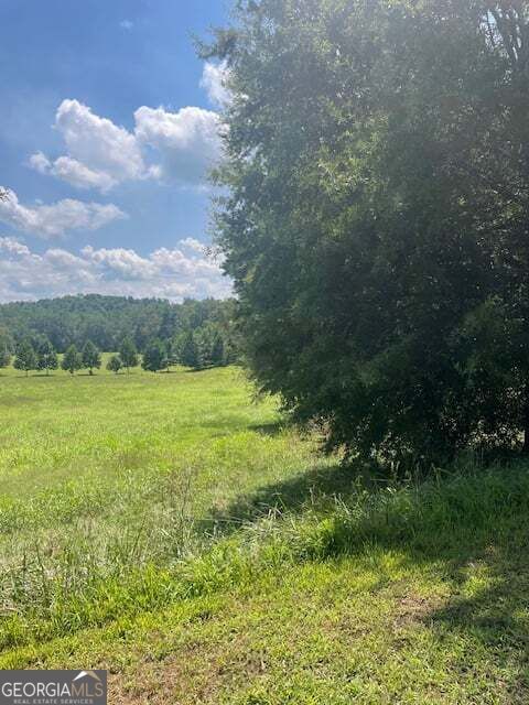 Property Photo:  Lot 8 Captains Court  GA 30523 