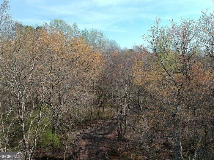 Property Photo: 0 Cobb Road GA 30014