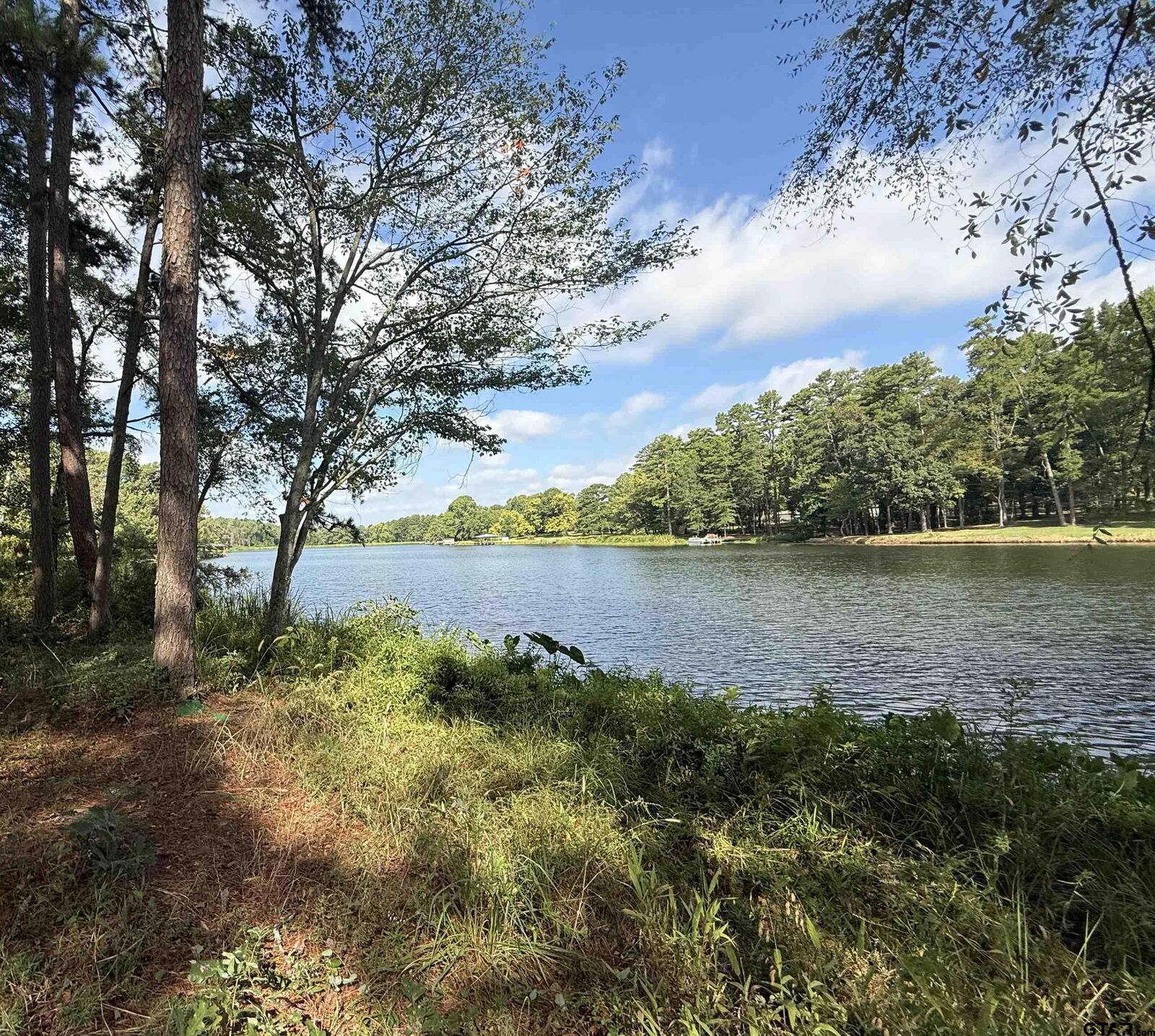 Property Photo:  13254 County Road 468  TX 75704 