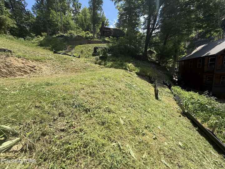 Property Photo: 229 Silverbell Lane 3301 TN 37738