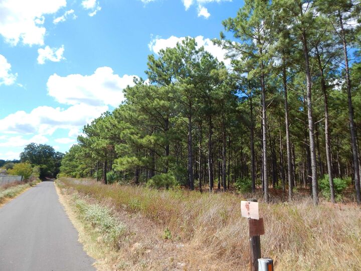 Property Photo:  Tbd 10 Acres Spruce Rd.  TX 75755 