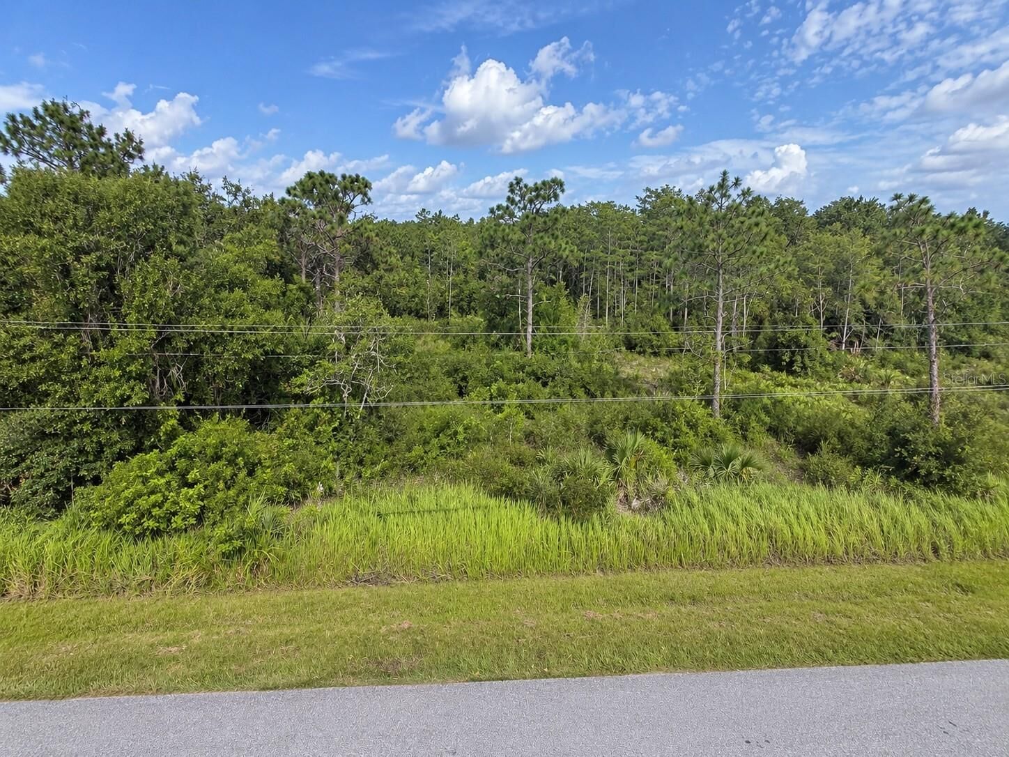 Property Photo: Topeka Avenue FL 34773