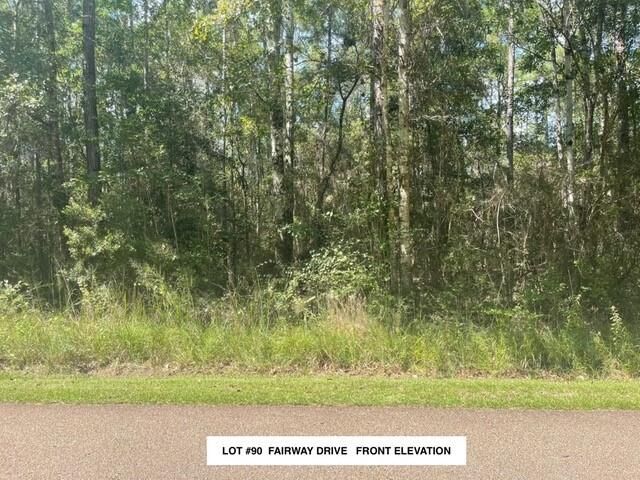 Property Photo:  Lot #90 Fairway Drive  LA 70420 