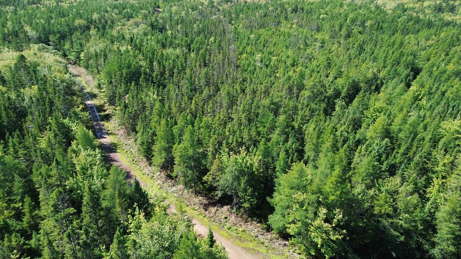 Property Photo:  Port Malcolm Road  NS B9A 1Z6 
