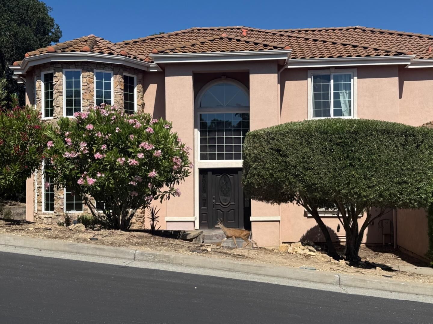 Property Photo:  8501 Mossrose Way  CA 95020 