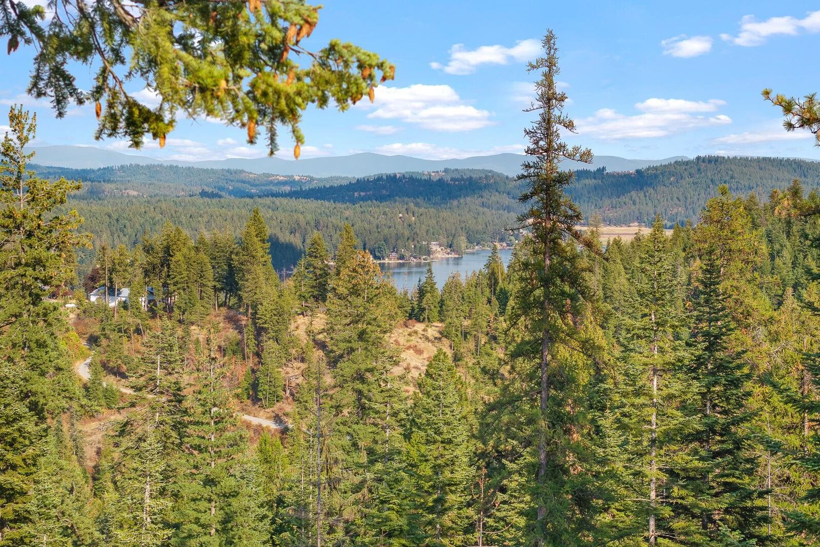 Property Photo:  Nka E Temple Rd  WA 99217 