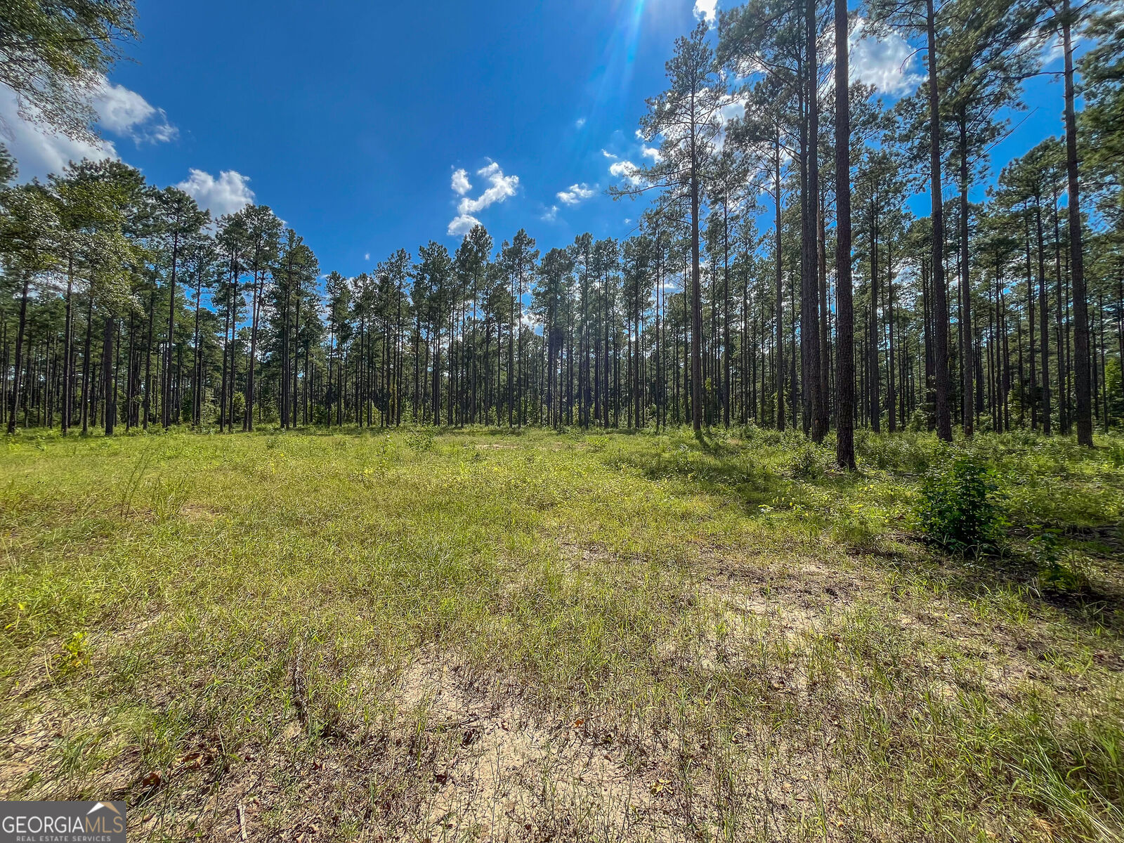 Property Photo:  0 0 Mark Wood Rd. Lot 1  GA 31019 