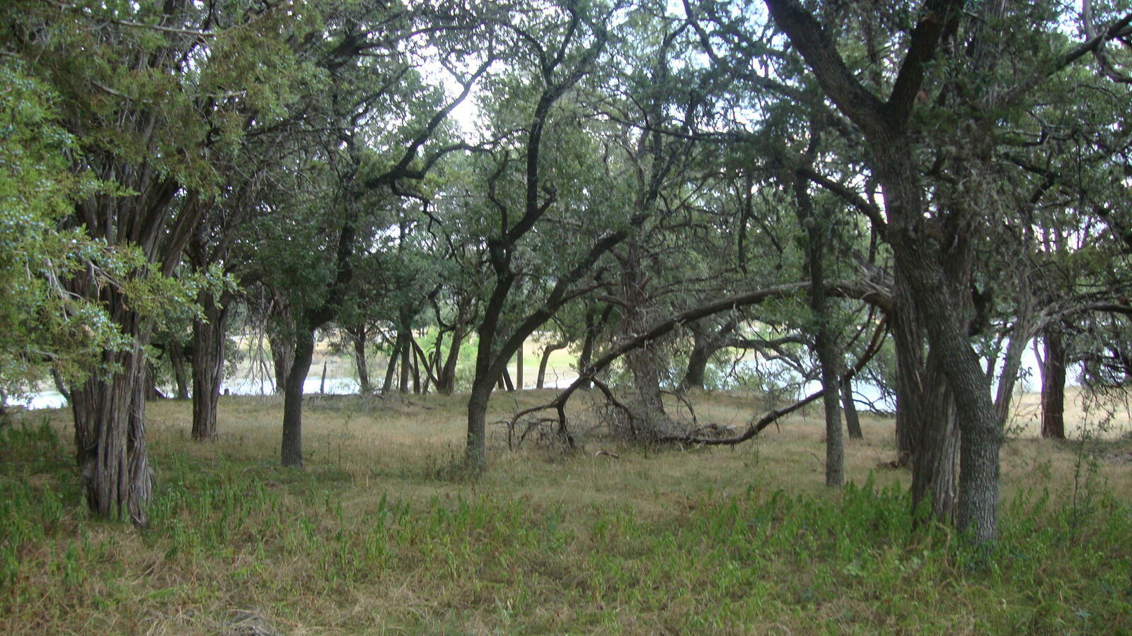 Property Photo: 6703 Bar K Ranch Road TX 78645