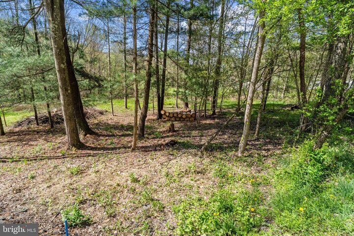 Property Photo:  2490 Little Clearfield Creek Road  PA 16863 