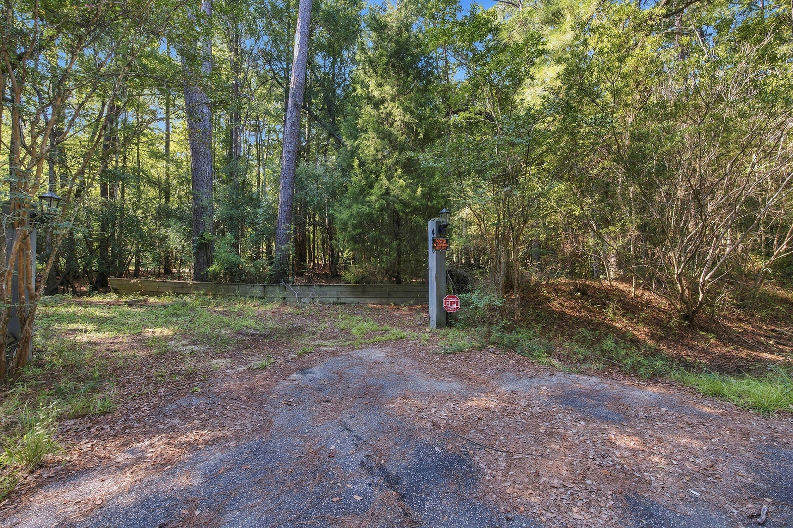Property Photo:  455 Crow Hill Drive  SC 29440 