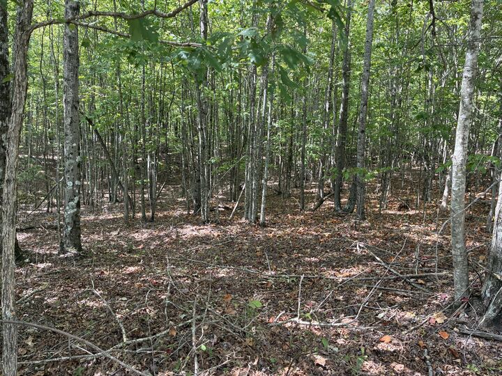 Property Photo:  0 2 Lake Trail  TN 37327 