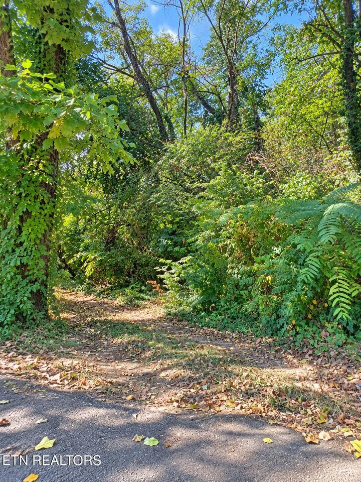 Property Photo:  1105 Maryland Ave  TN 37921 