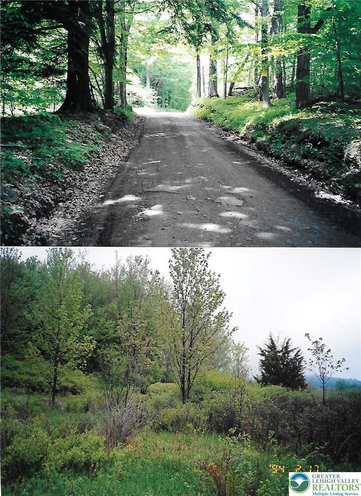Property Photo:  Pantherlick Road  PA 18846 