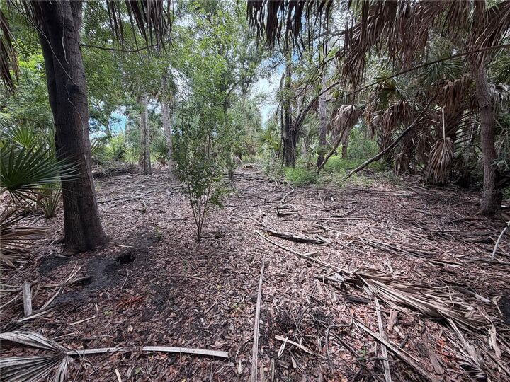 Property Photo:  3405 Vasco Street  FL 33950 