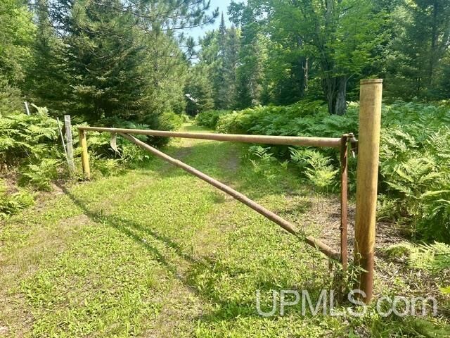 Property Photo: 9000 Bear Lake Lodge Road MI 49849