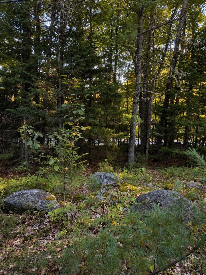 Property Photo:  M10 L23-1 Blackswoods  Road  ME 04634 
