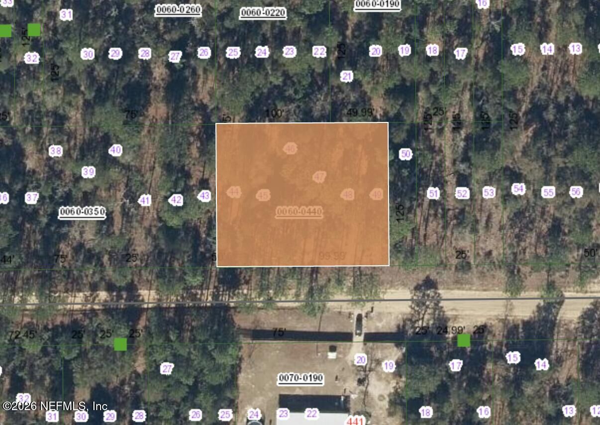 Property Photo: Blk60lot44 Fern Avenue FL 32148
