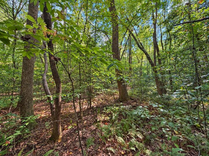 Property Photo:  Lot 6 Mountain Brooks Road  GA 30513 