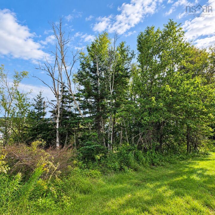 Property Photo:  0 Hillside Road  NS B1P 6G9 