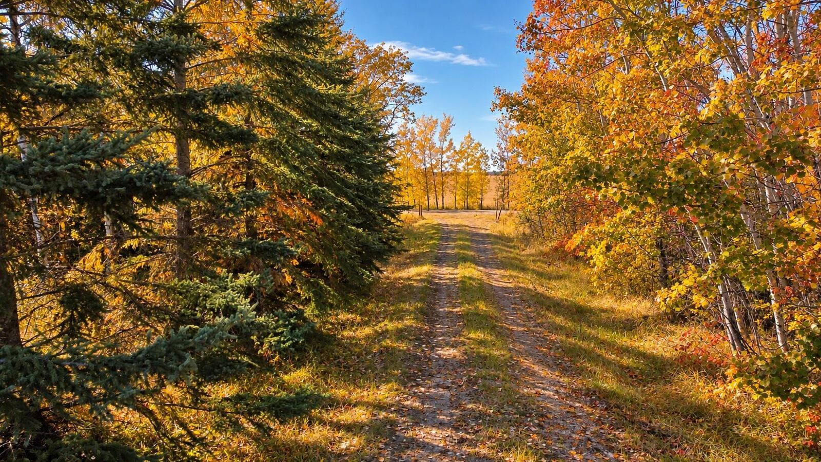 Property Photo:  On RR 251  AB T0M 1S0 