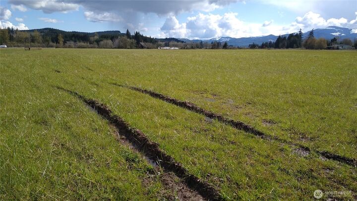 Property Photo:  559 08  Boistfort Rd  WA 98538 