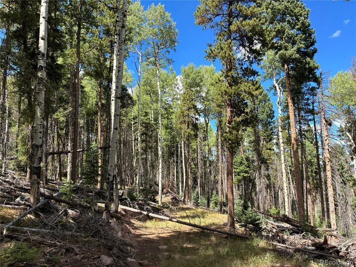Property Photo:  Lot 2380 Benton Road  CO 81133 