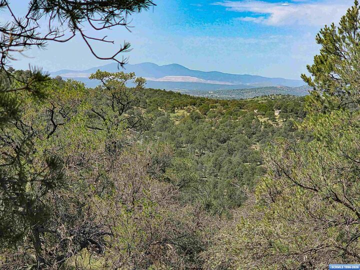 Property Photo:  37-X2 Black Dog Road  NM 88061 