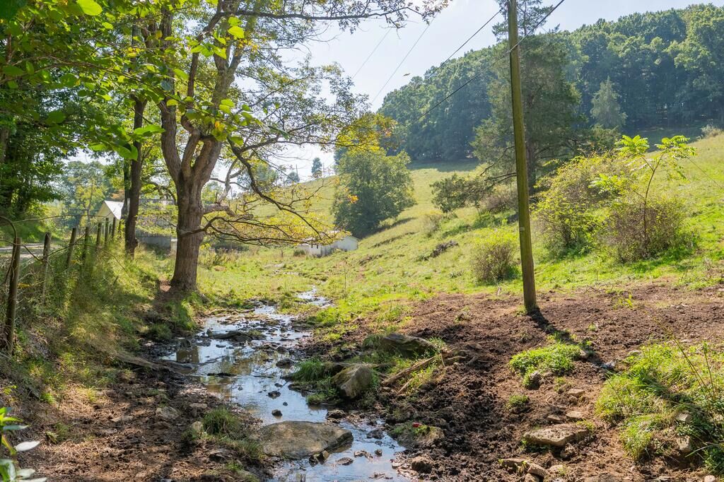 Property Photo:  Lot 15 Odell Road  VA 24382 