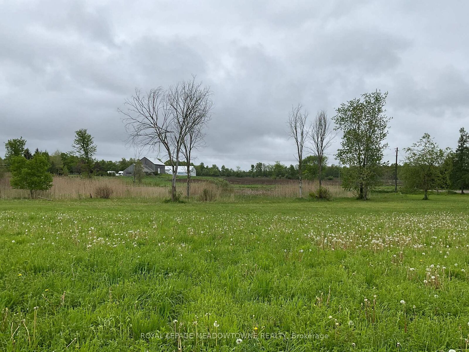 Property Photo:  5169 First Line  ON N0B 2K0 