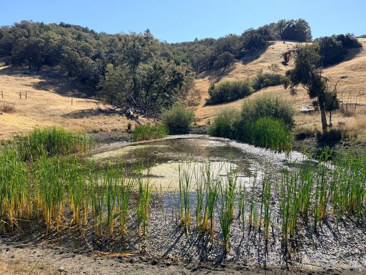 Property Photo:  1950 Bunim Road  CA 95585 