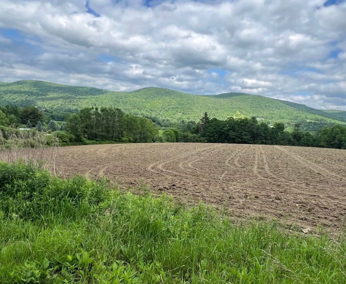 Property Photo:  267 State Route 79 Route  NY 13865 