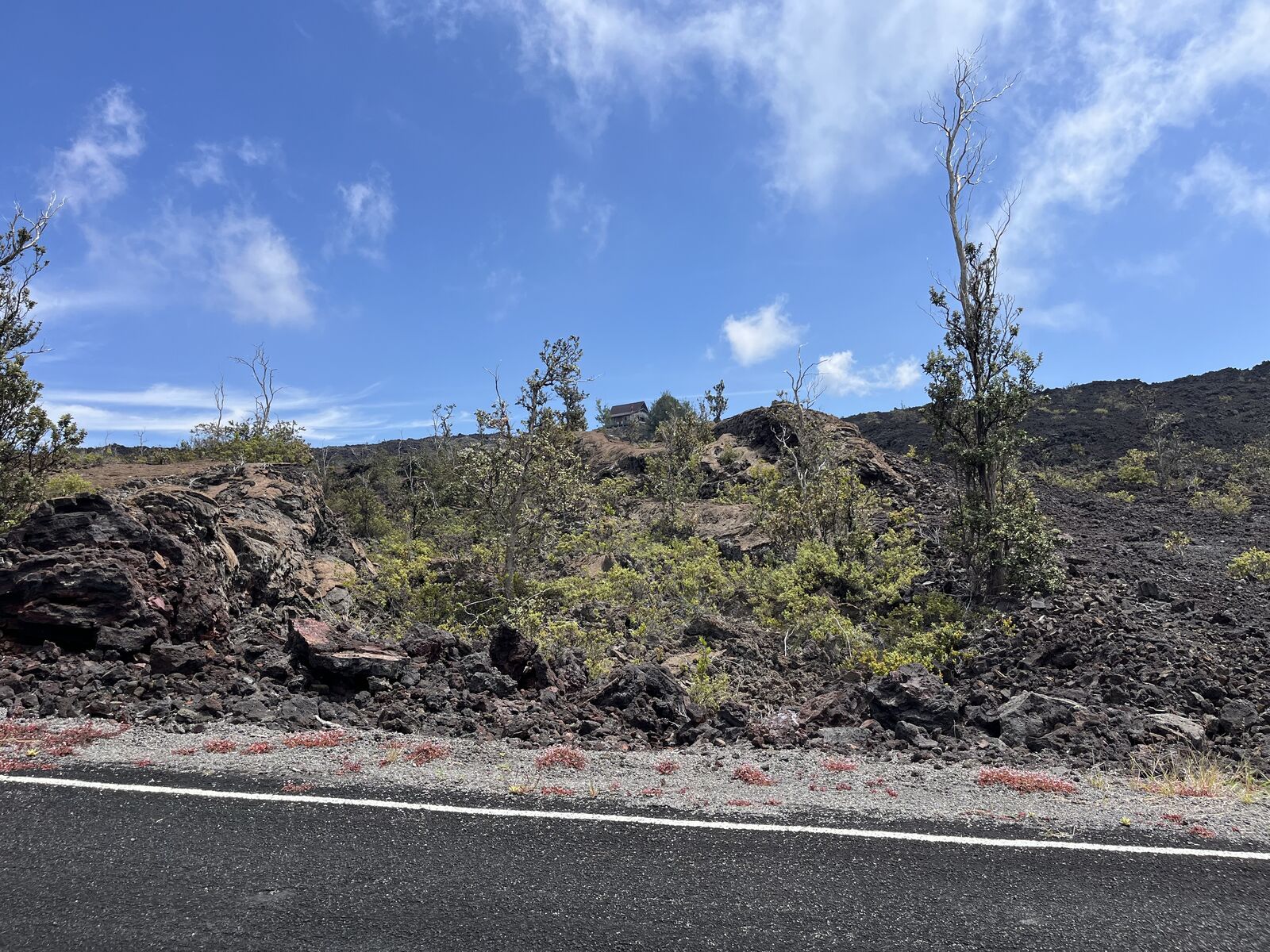 Property Photo: Koa Ln HI 96737