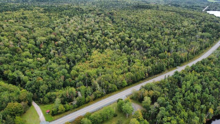 Property Photo:  13592 Highway 7  NS B2G 2L3 