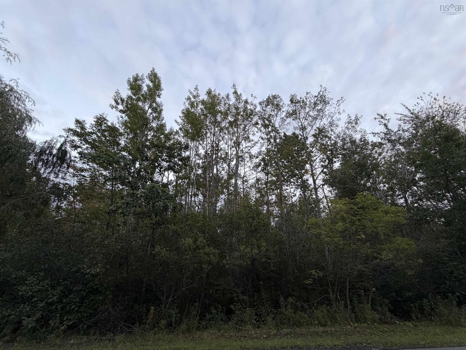Property Photo:  Lot 1 Adrian Smith Lane  NS B2H 5J6 