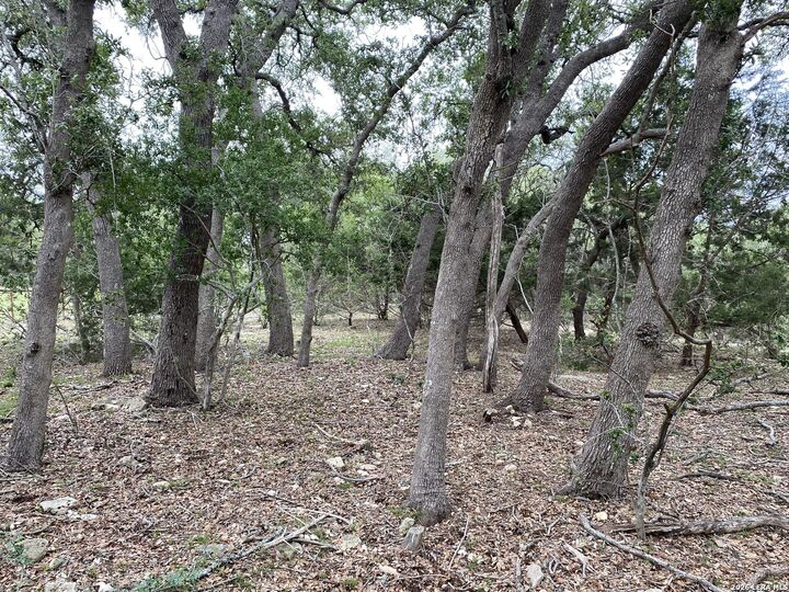 Property Photo: 14 Rust Ln TX 78006