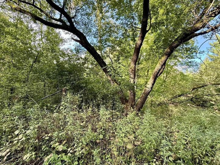 Property Photo:  15 Acres Ozone Road  WI 53929 