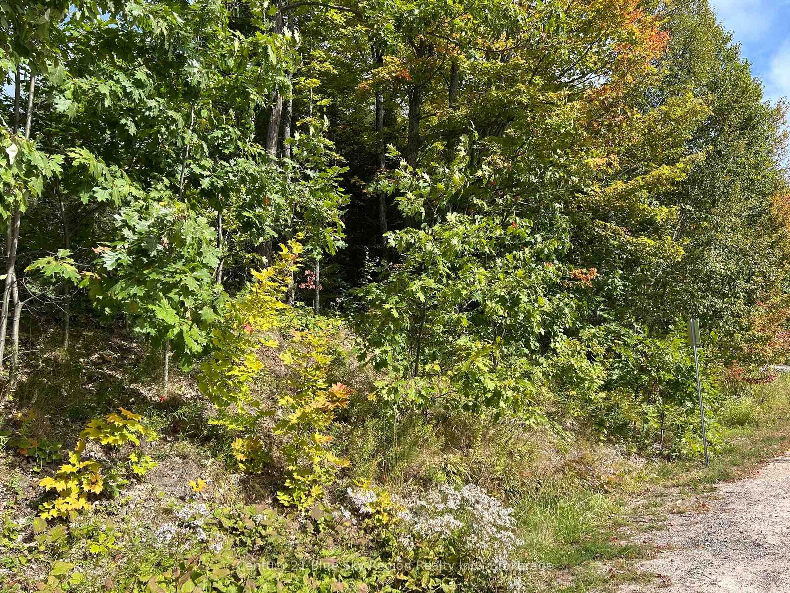 Property Photo:  Pcl 28216 Highway 531 N/A  ON P0H 1E0 