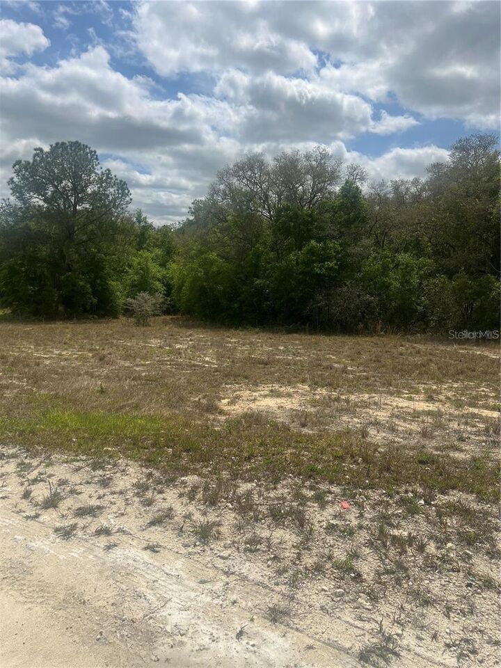 Property Photo:  Cleft Rock St  FL 33597 