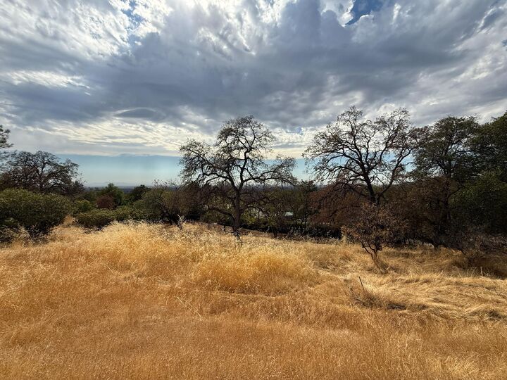 Property Photo:  100 Ridgeview Lane  CA 95966 