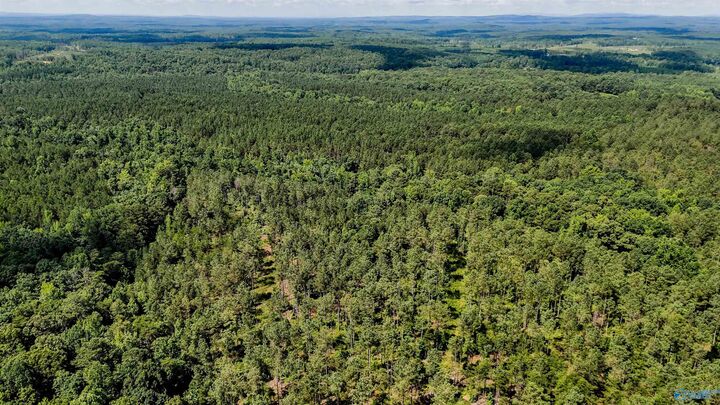 Property Photo:  1 County Road 65  AL 36262 