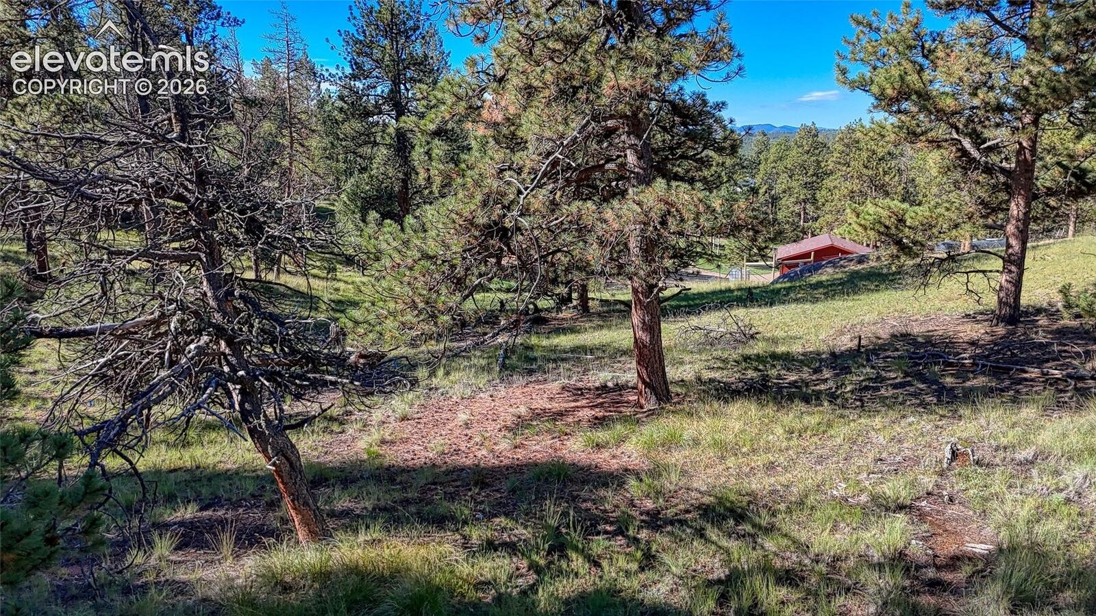 Property Photo:  65 Utah Way  CO 80816 