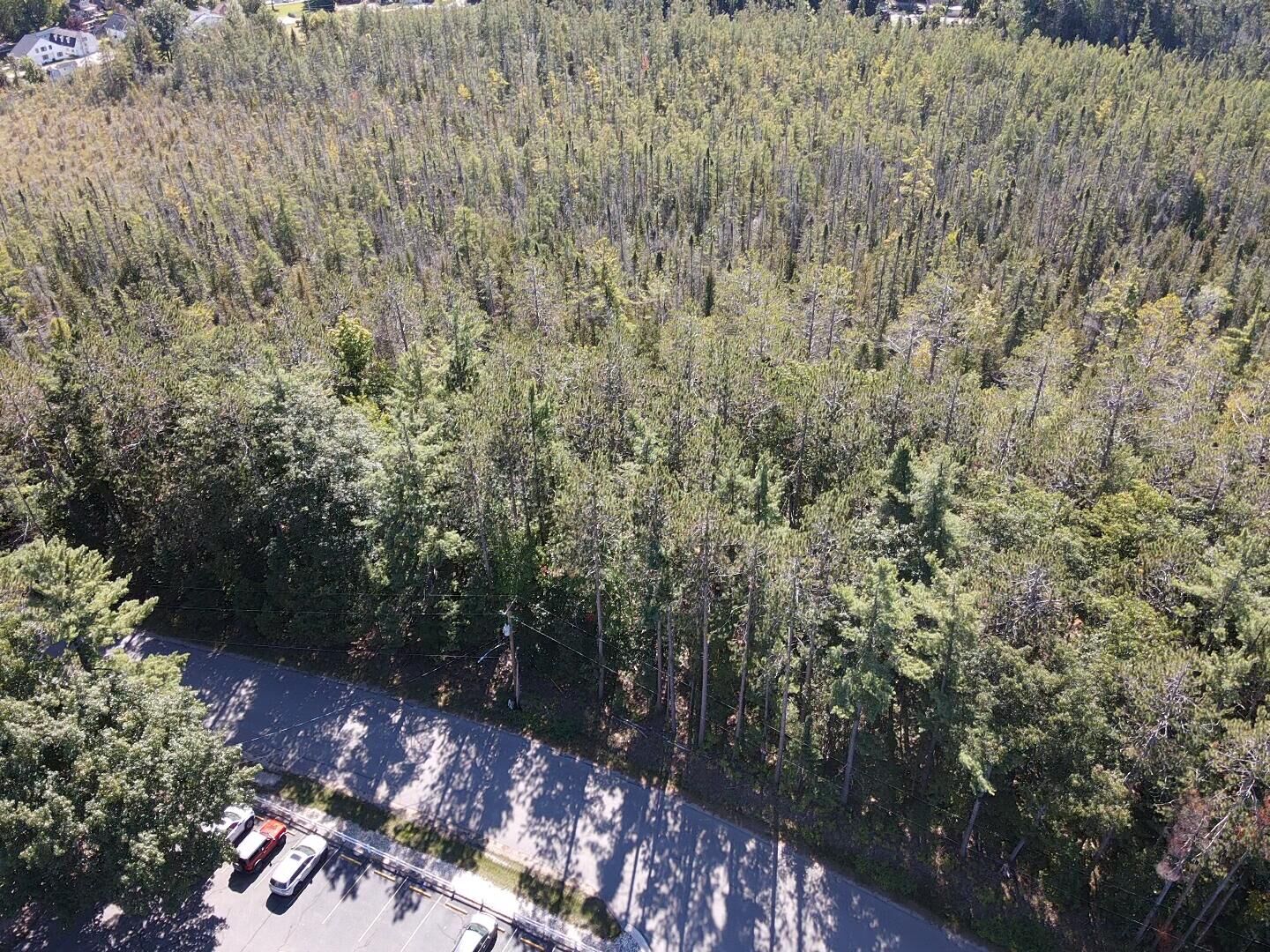 Property Photo: V/L Chippewa Beach Road MI 49749