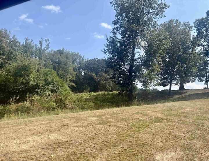 Property Photo: Tract 2 Steel Bridge Road AR 72019