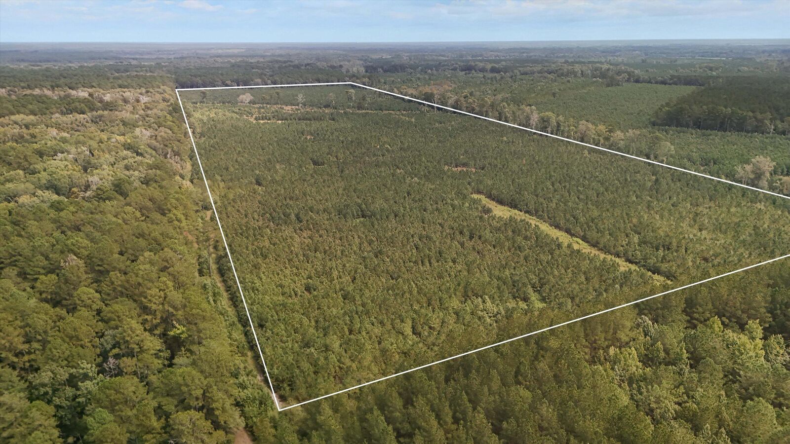 Property Photo:  000 Augusta Hwy Highway  SC 29481 