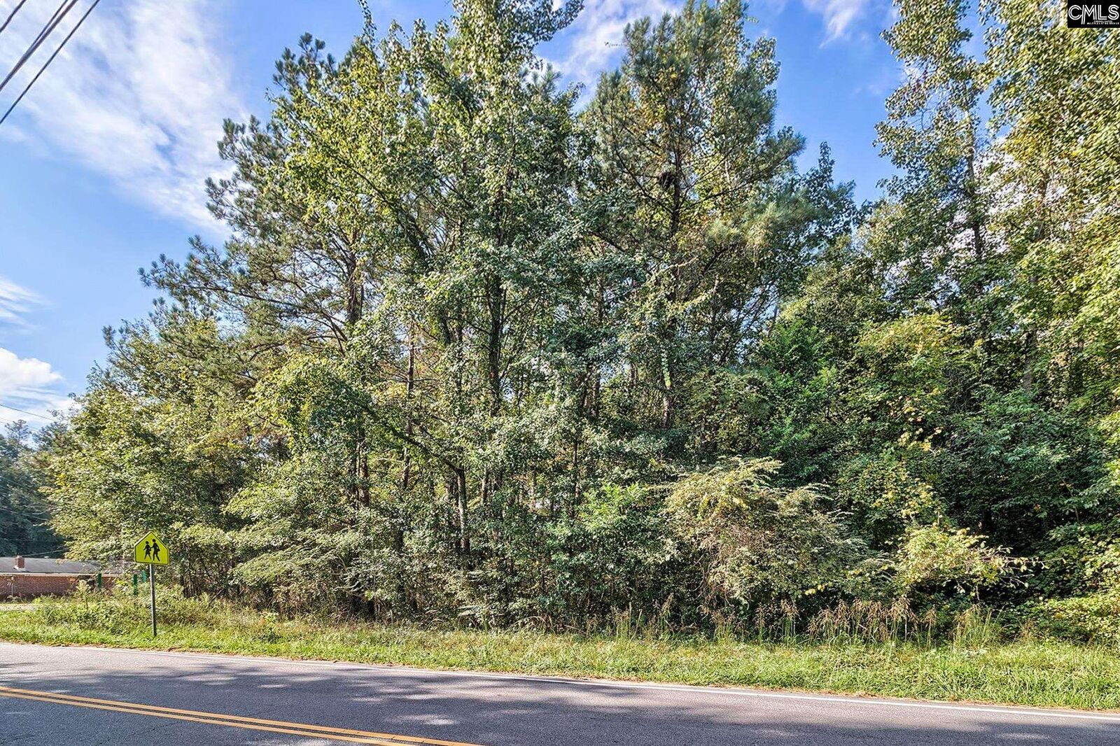 Property Photo:  0 E/S Sumpter  SC 29061 